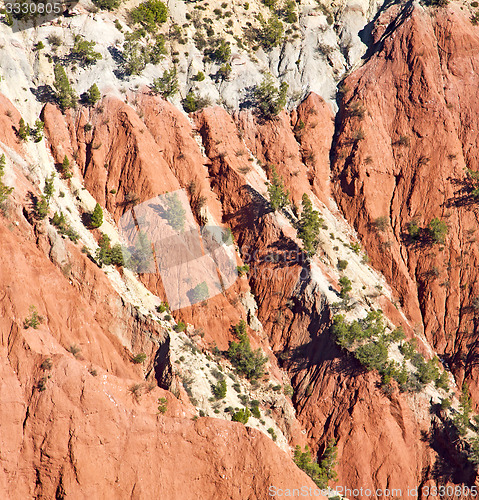 Image of the    dades valley in atlas moroco africa ground tree  and nobo