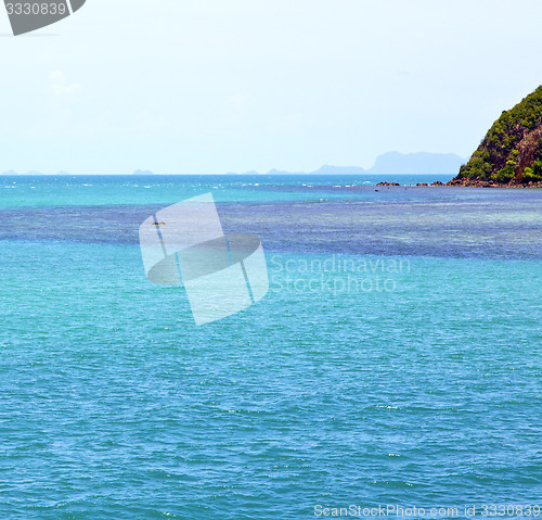 Image of   phangan  bay  coastline of a green lagoon and tree 