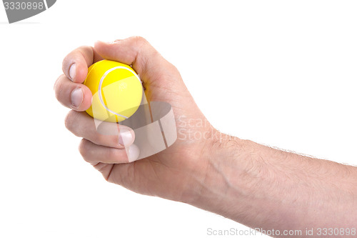 Image of Small toy tennisball