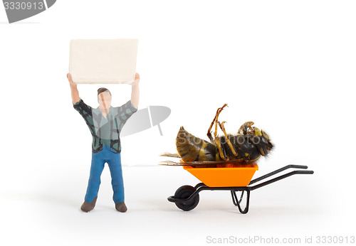 Image of Dead wasp in a miniature wheelbarrow