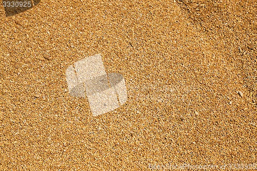 Image of wheat grains  