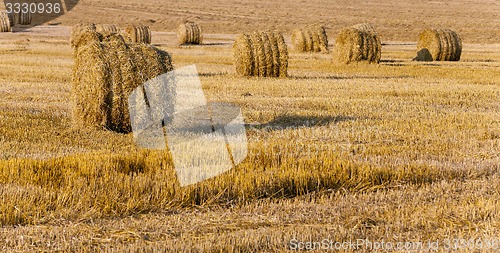 Image of straw stack  