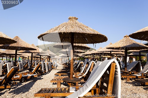 Image of umbrellas on a beach  