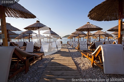 Image of umbrellas on a beach  