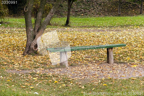 Image of wooden bench in the park  