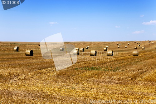 Image of straw stack  