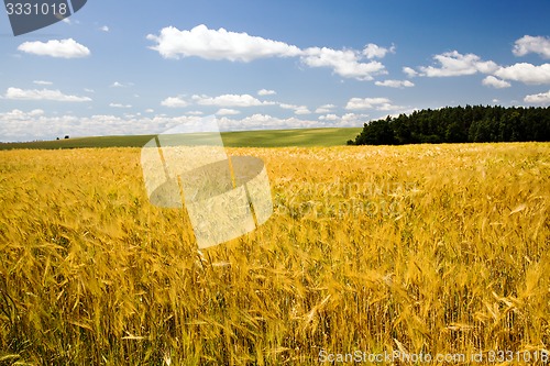 Image of agricultural field  