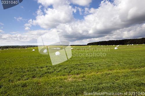 Image of the packed grass  