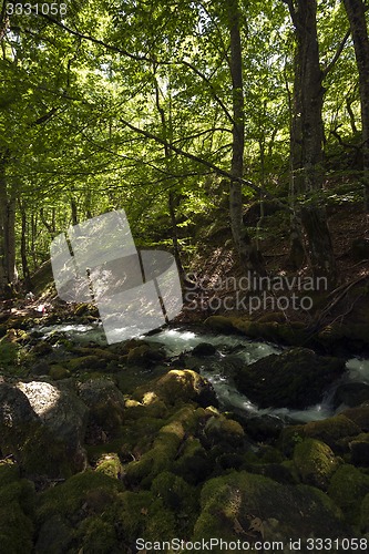 Image of mountain river  