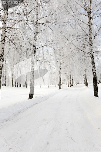 Image of the winter road  