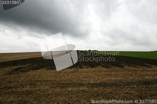 Image of plowed earth  