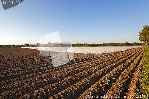 Image of greenhouses in the field  