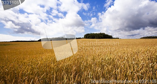 Image of agricultural field  .