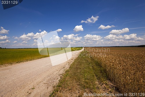 Image of Rural Dirt road  