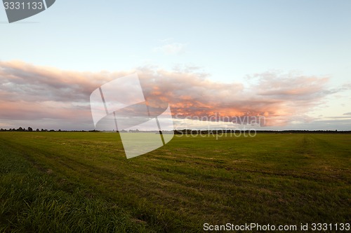 Image of agriculture  