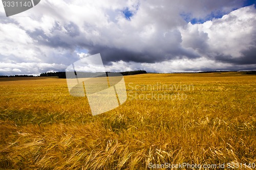 Image of agricultural field  