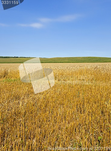 Image of agricultural field  