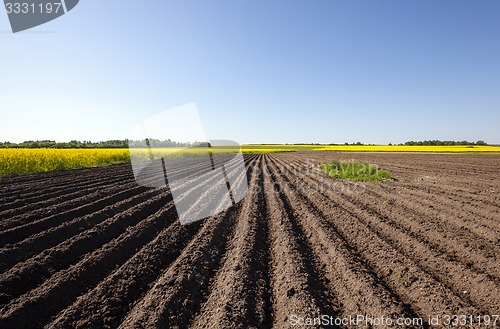 Image of plowed field  