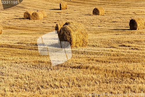 Image of straw stack 