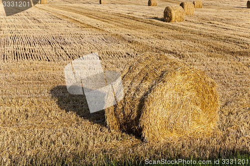 Image of straw stack  