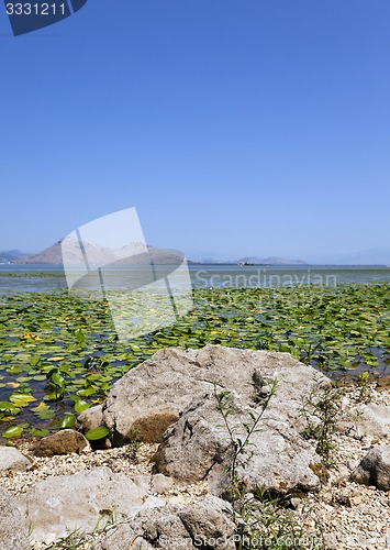 Image of the lake  