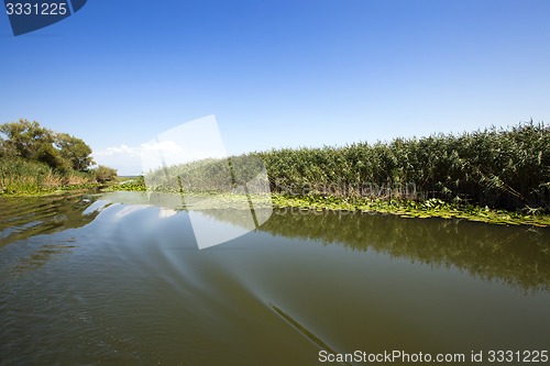 Image of the lake  