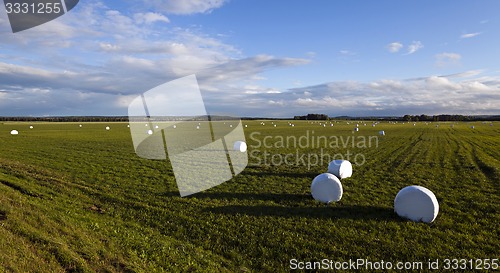 Image of packed grass  