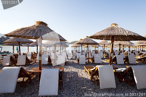 Image of umbrellas on a beach  