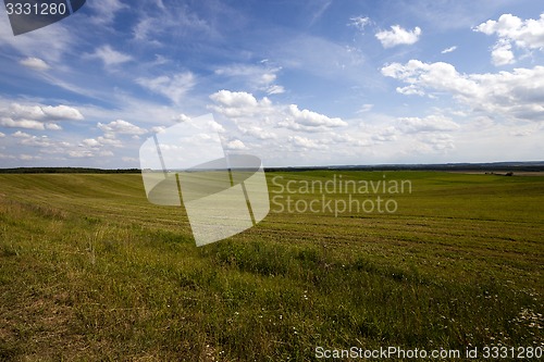 Image of agriculture field  