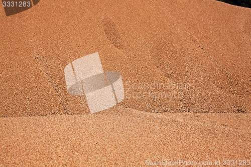 Image of wheat grains  