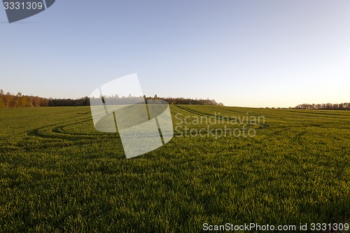 Image of agriculture  