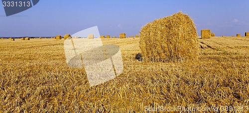 Image of straw stack  