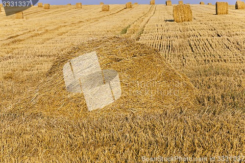 Image of field with straw  