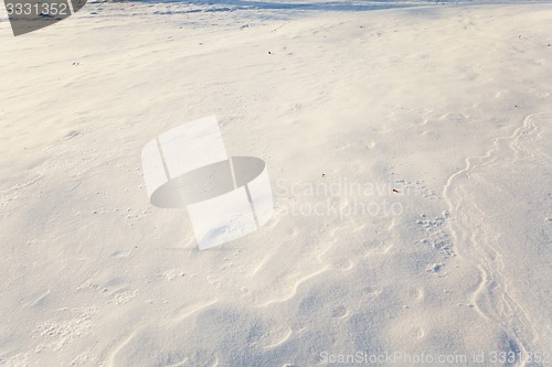 Image of snow  close up 