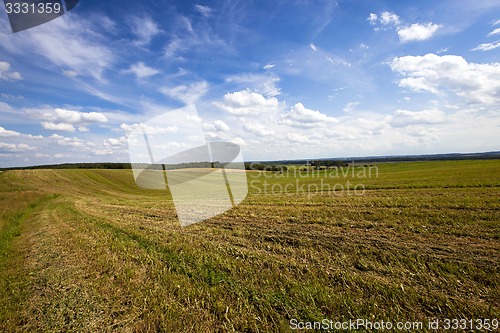Image of agriculture field  