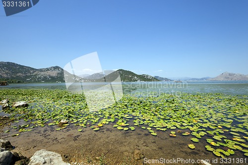 Image of the lake  