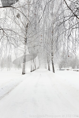 Image of the winter road  