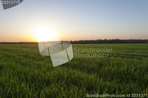 Image of agriculture  