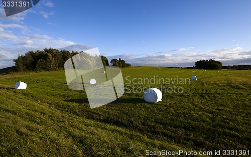 Image of packed grass  