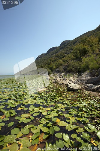 Image of the lake 