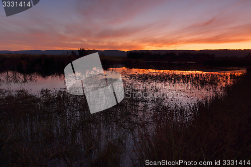 Image of Sunset Penrith Wetlands