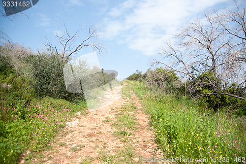 Image of Spring season landscape