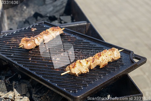 Image of Juicy roasted kebabs on the grill