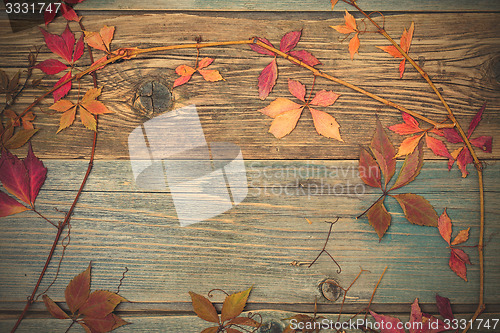 Image of herbarium. autumn still life with dry red leaves