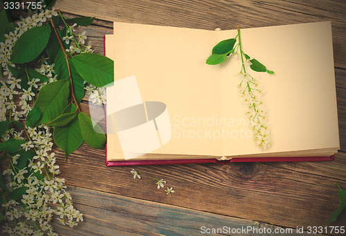 Image of open book with bird-cherry branches
