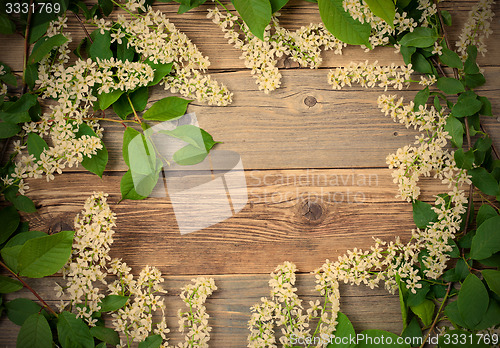 Image of beautiful branches of blossom bird