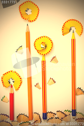 Image of pencil flowers