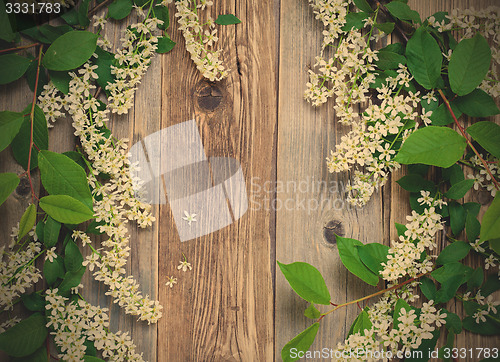 Image of still life with branch of blossom bird cherry