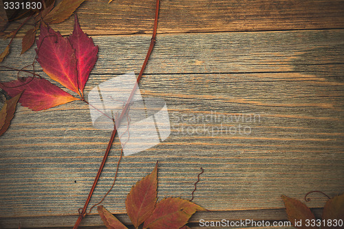 Image of Autumn still life with dry red leaves and branches