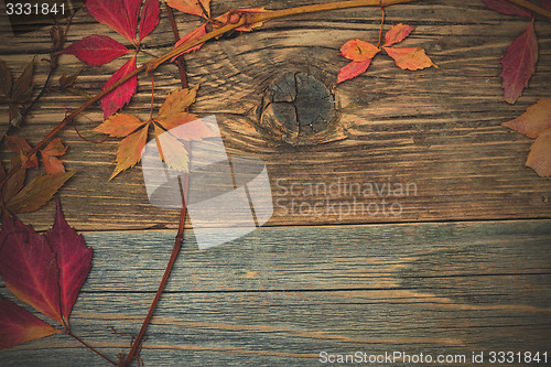 Image of Autumn still life with dry red leaves